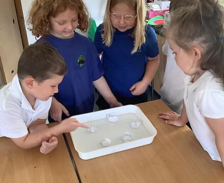 Science 4