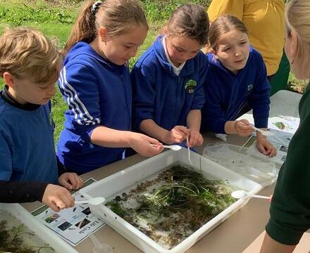 Science 8